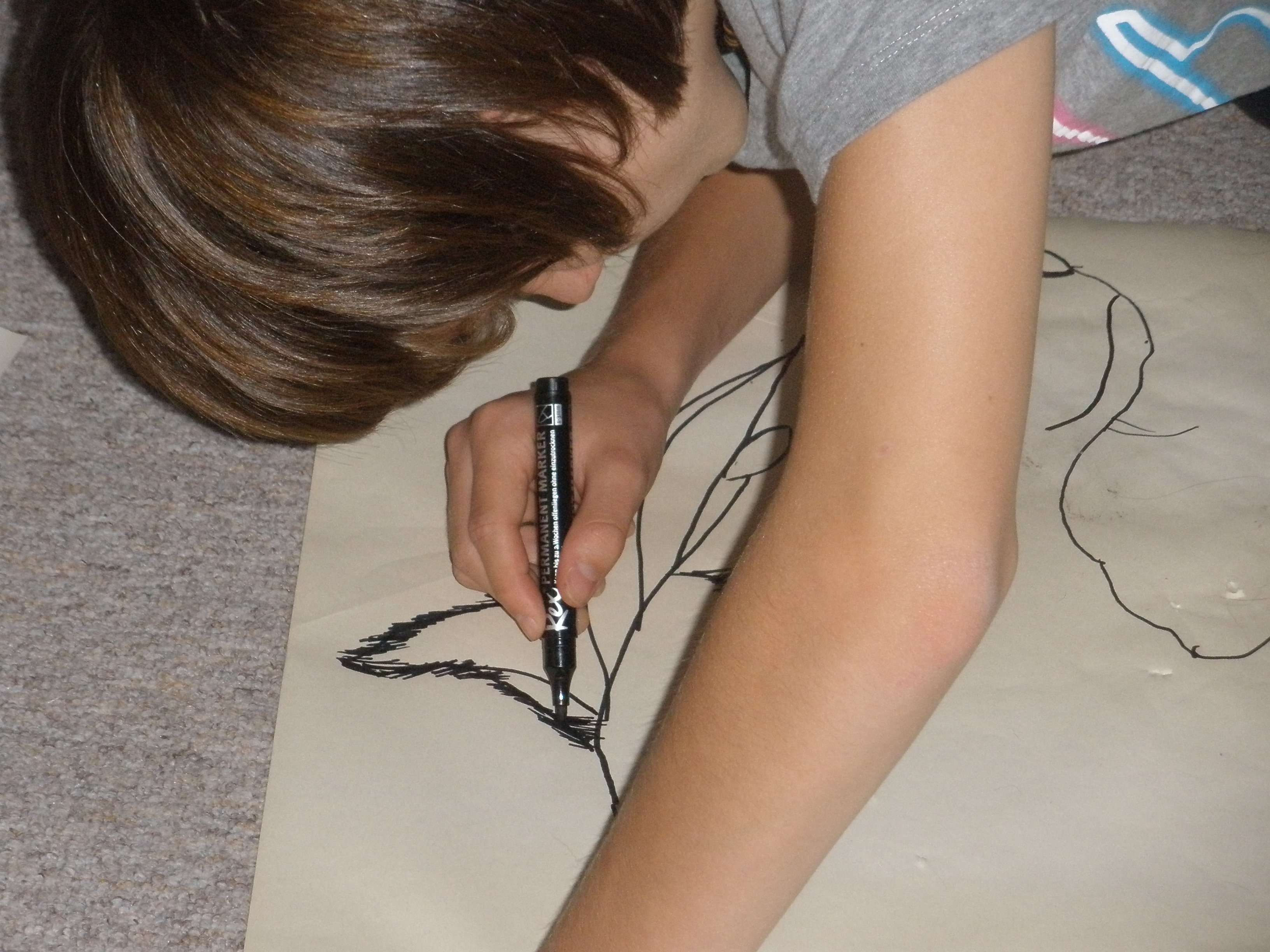 Anatomie 4