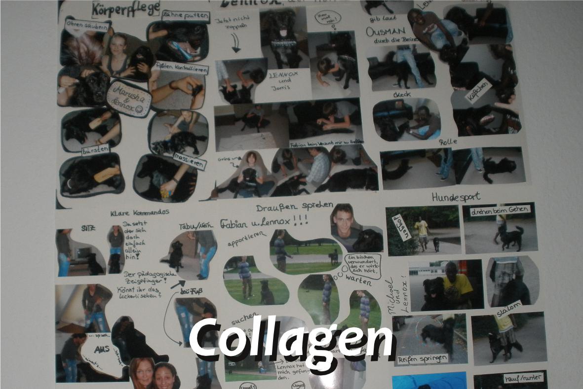 Collagen von Lennox