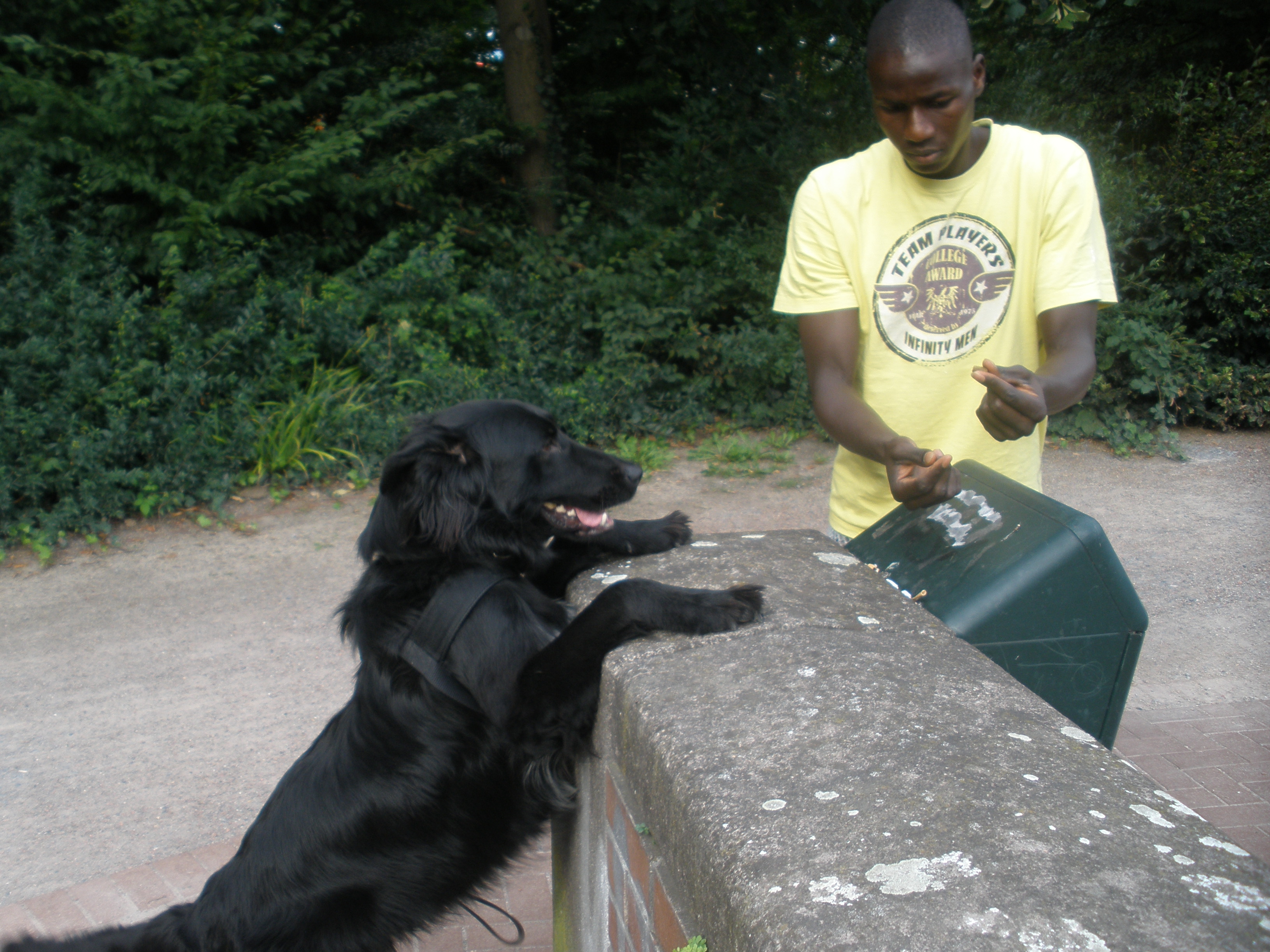 Hundesport 1