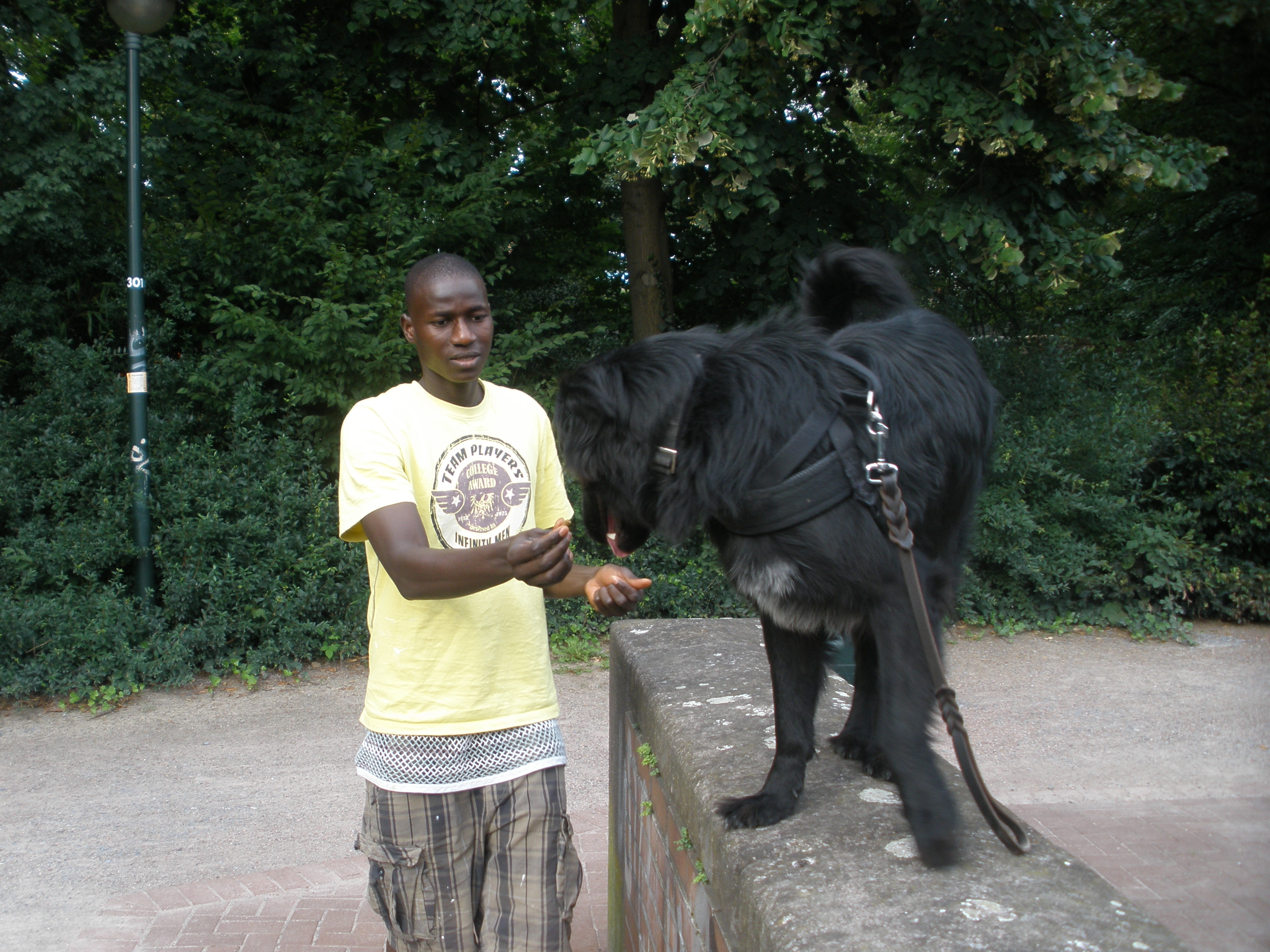 Hundesport 2