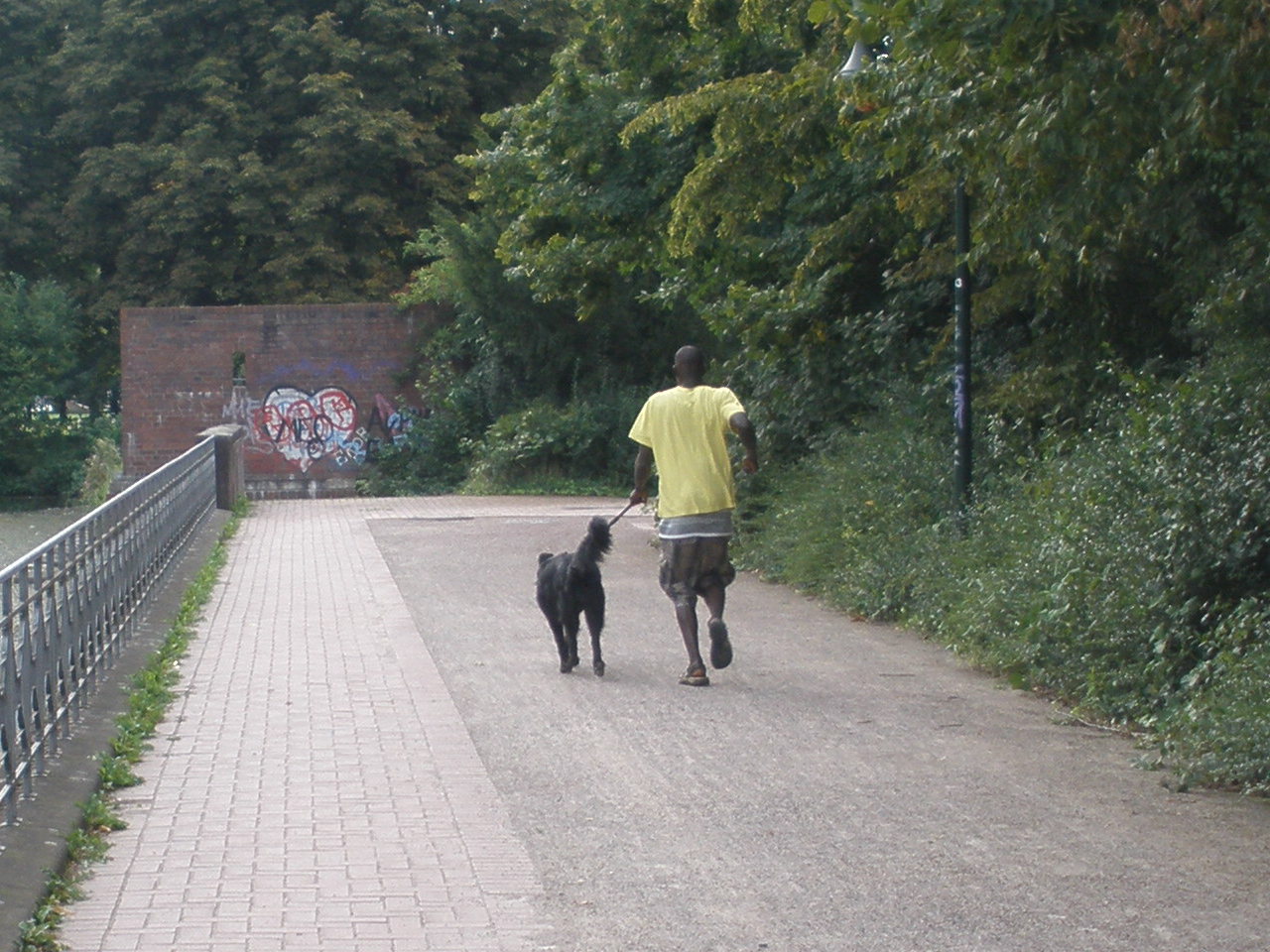 Hundesport 3