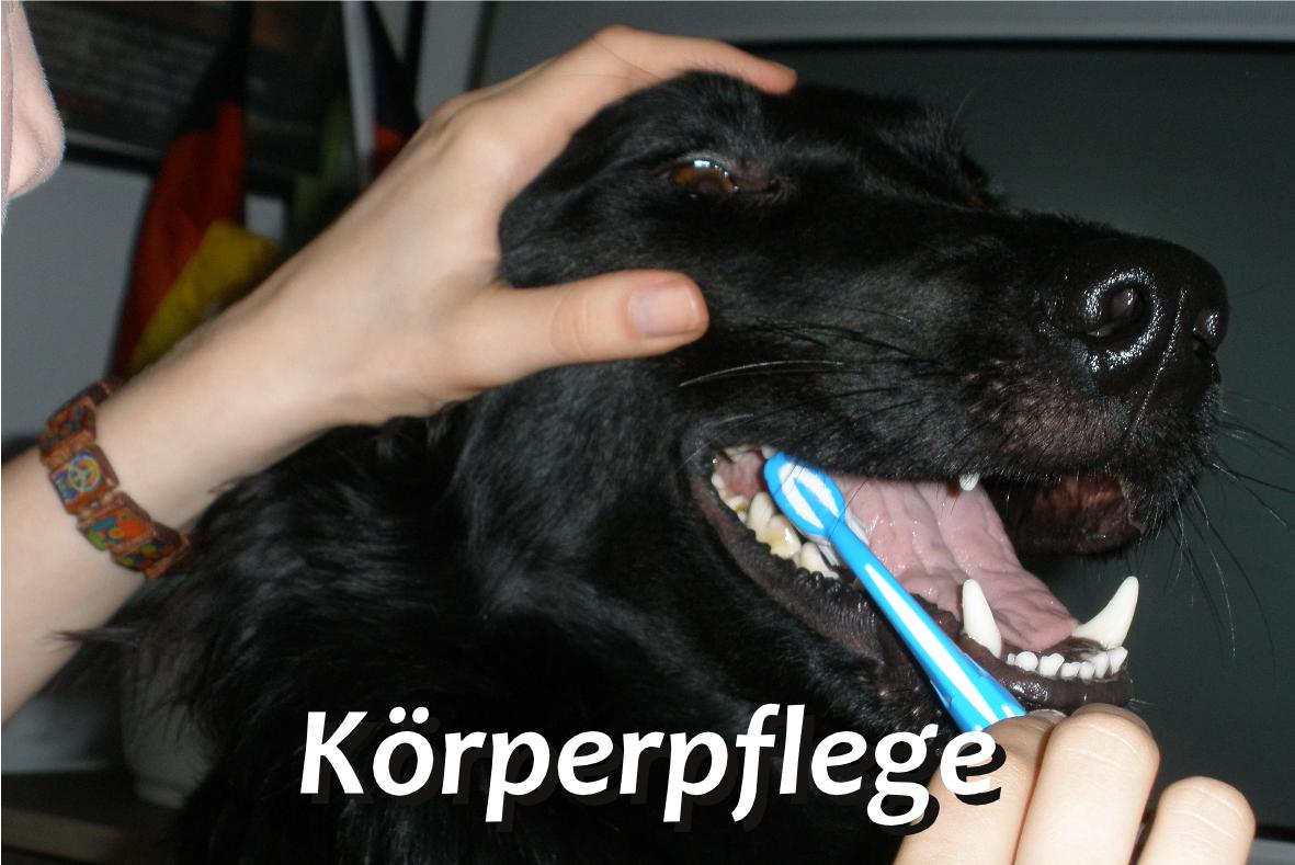 Körperpflege mit Lennox