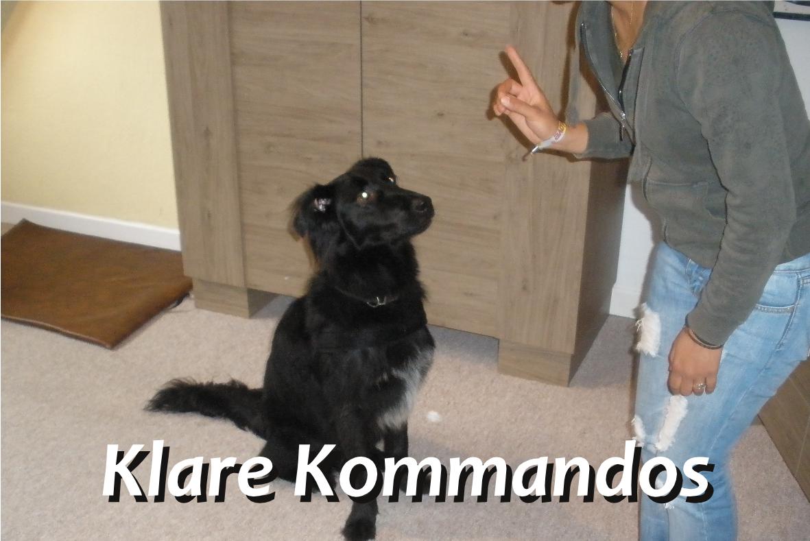 Kommandos mit Lennox