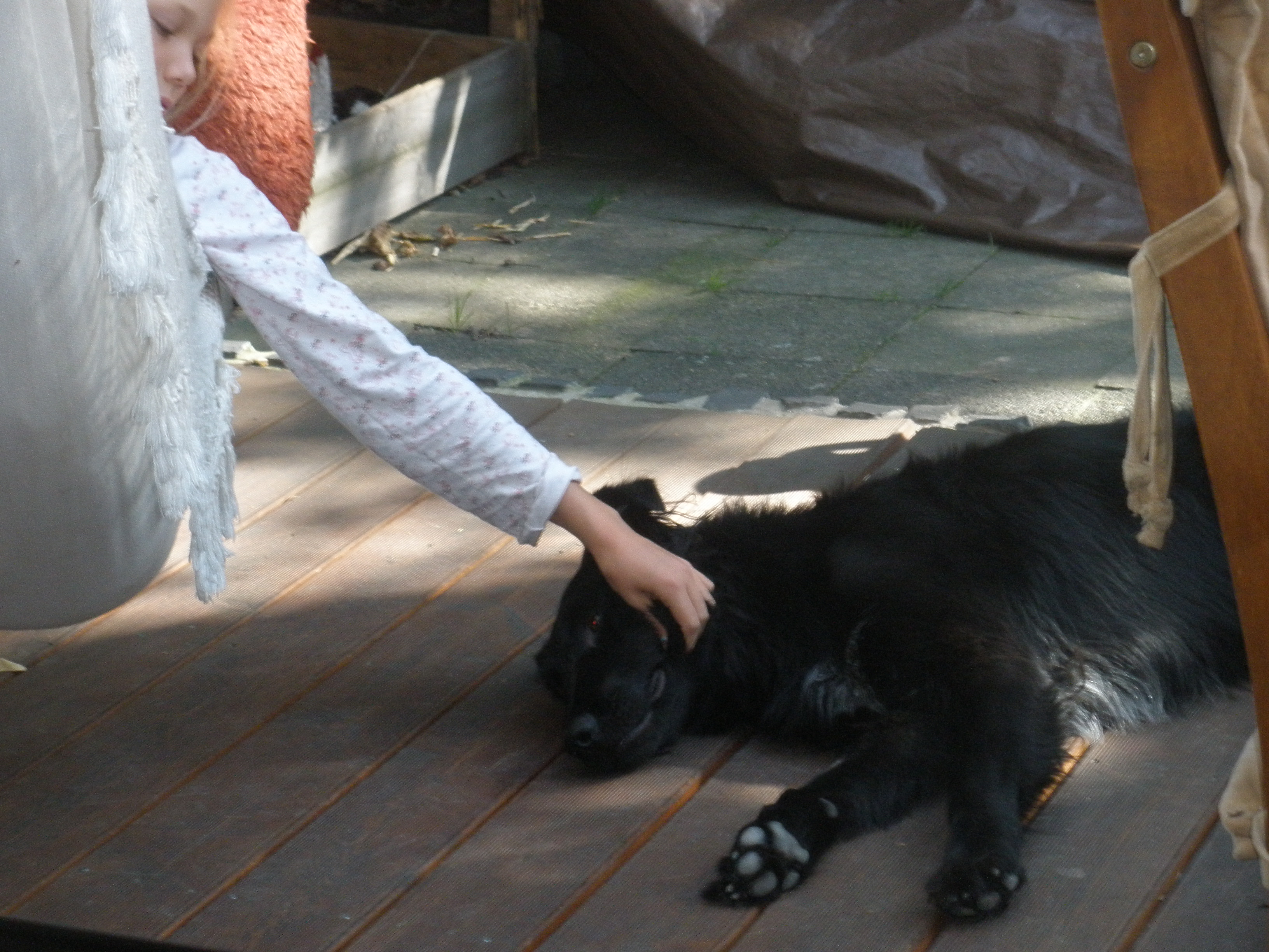 Kuscheln 5