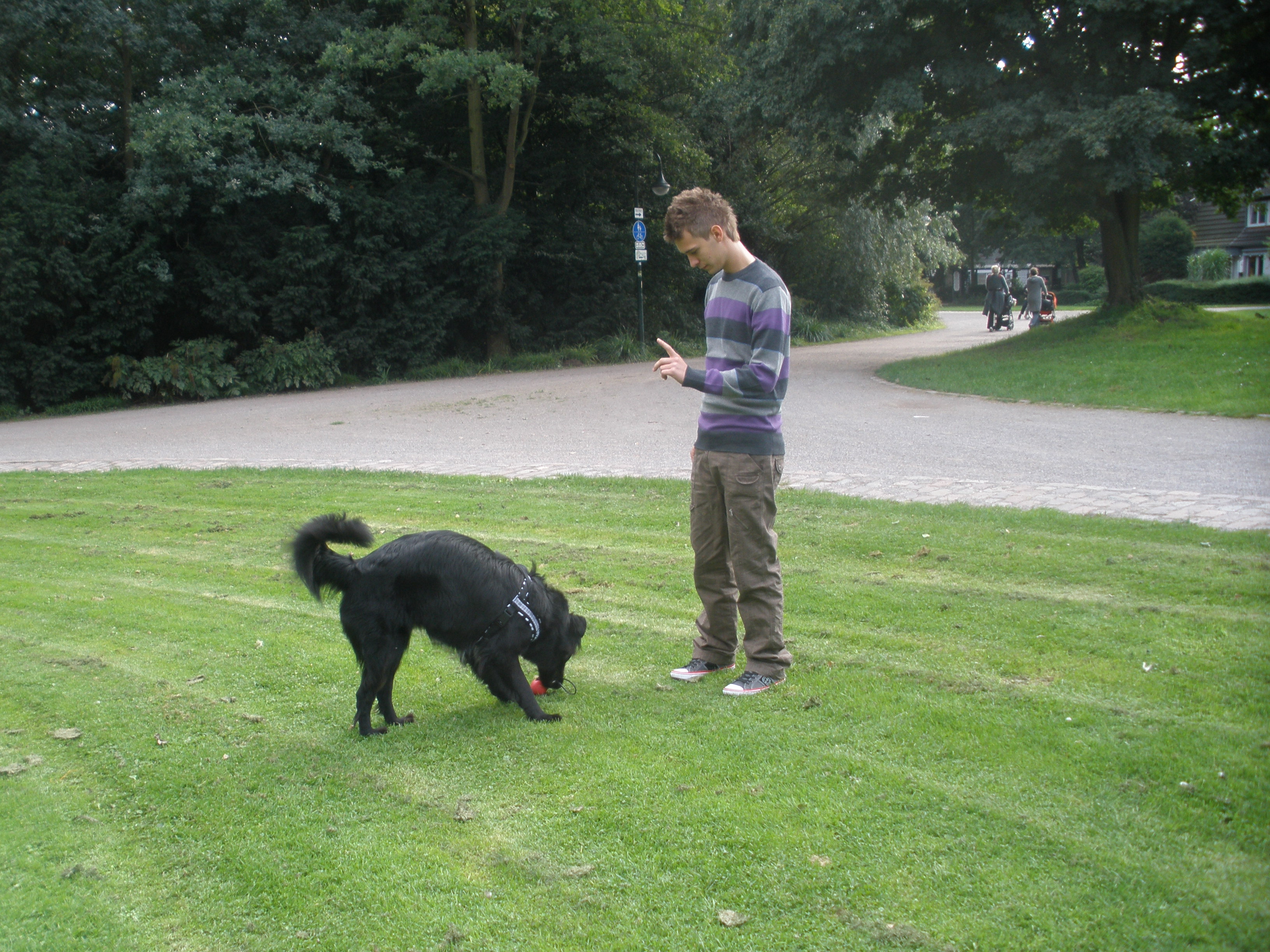 Spielen 5