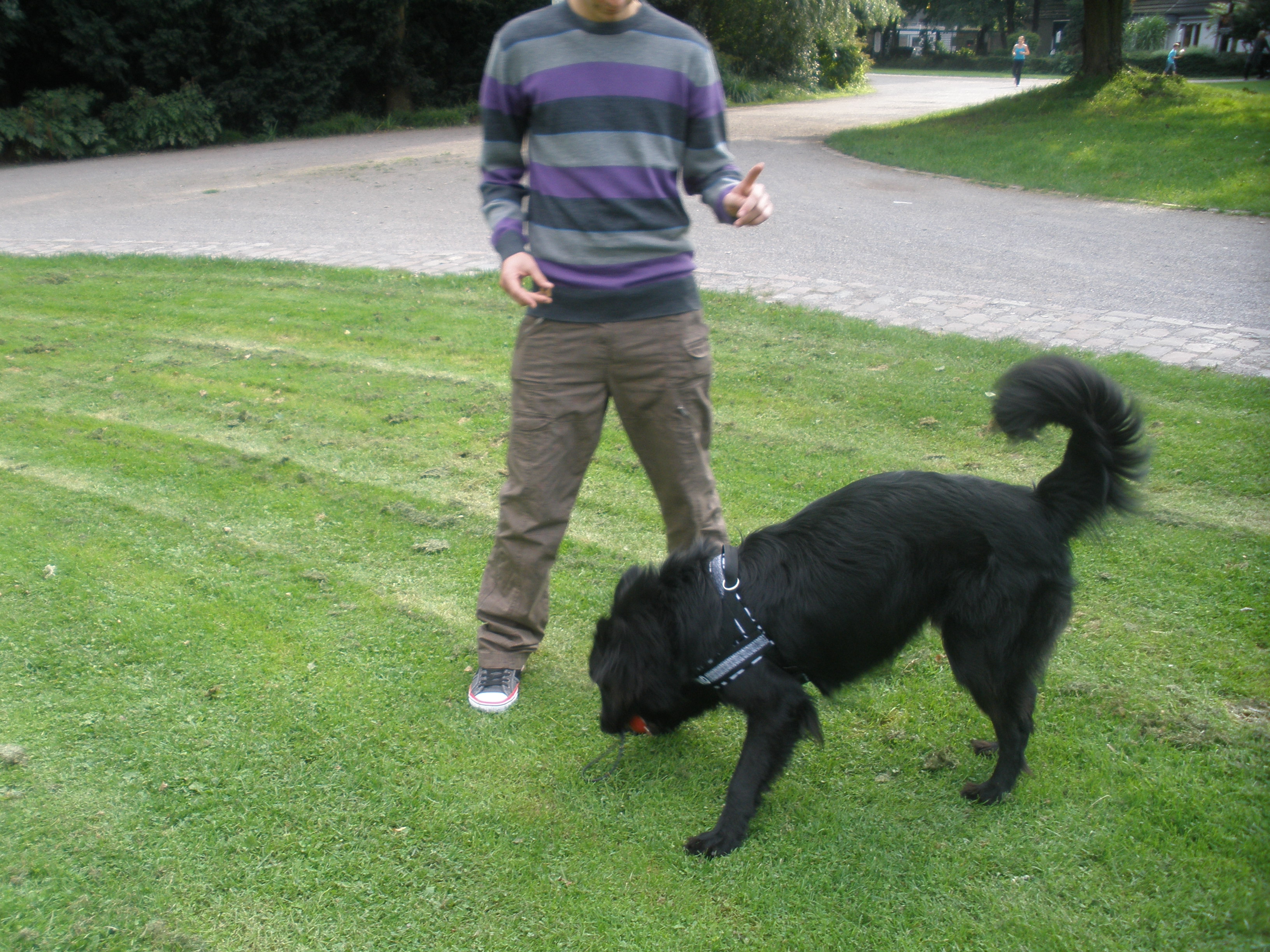 Spielen 6