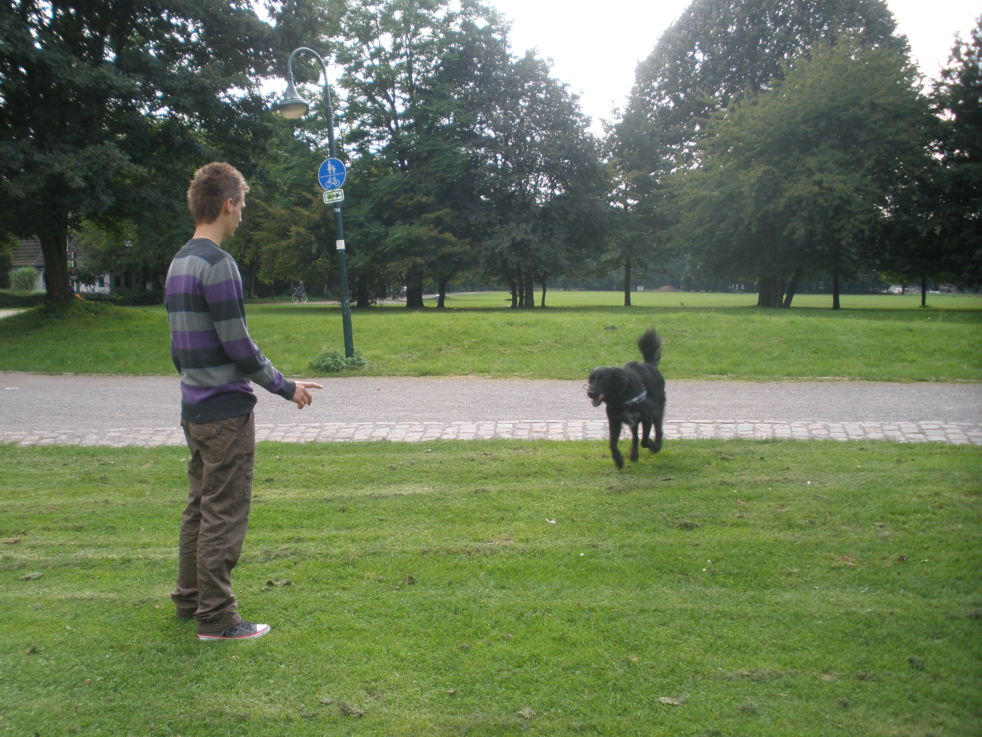 Spielen 8