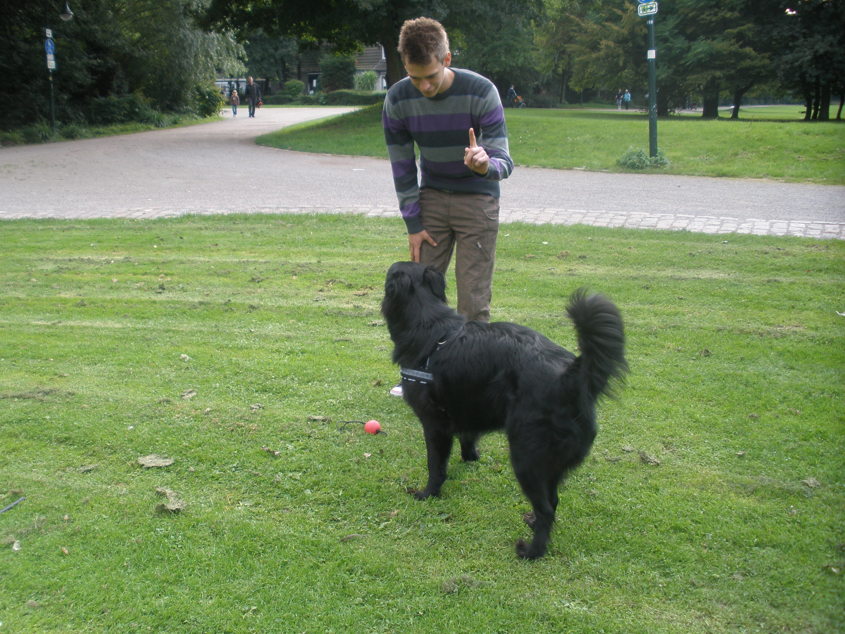 Spielen 9