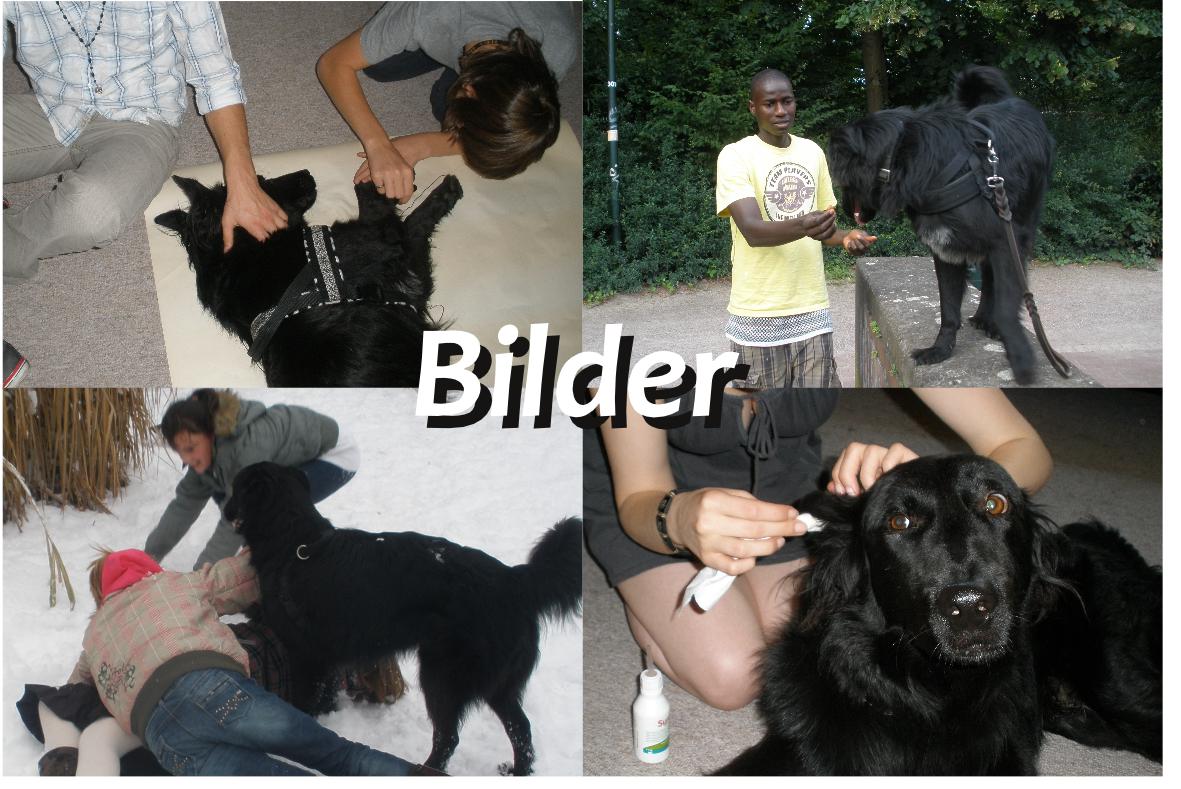 bilder von Lennox